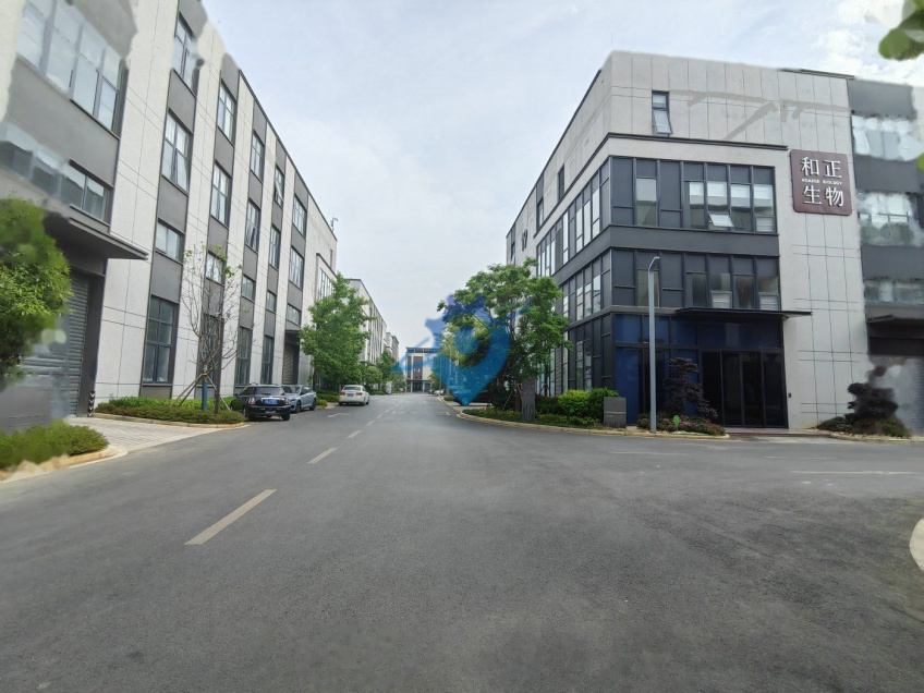 厂房仓库招租 层高7.8米可做隔层 可装行车 手续齐全不拆迁 可环评 挂车可进