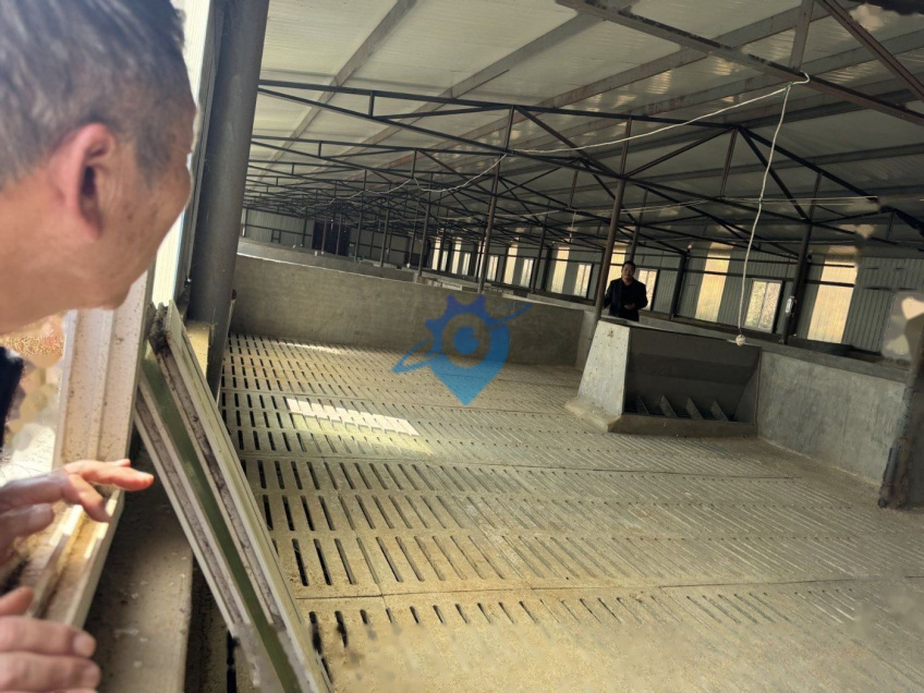 拖卓养殖基地110亩可养殖鸡鹅牛猪