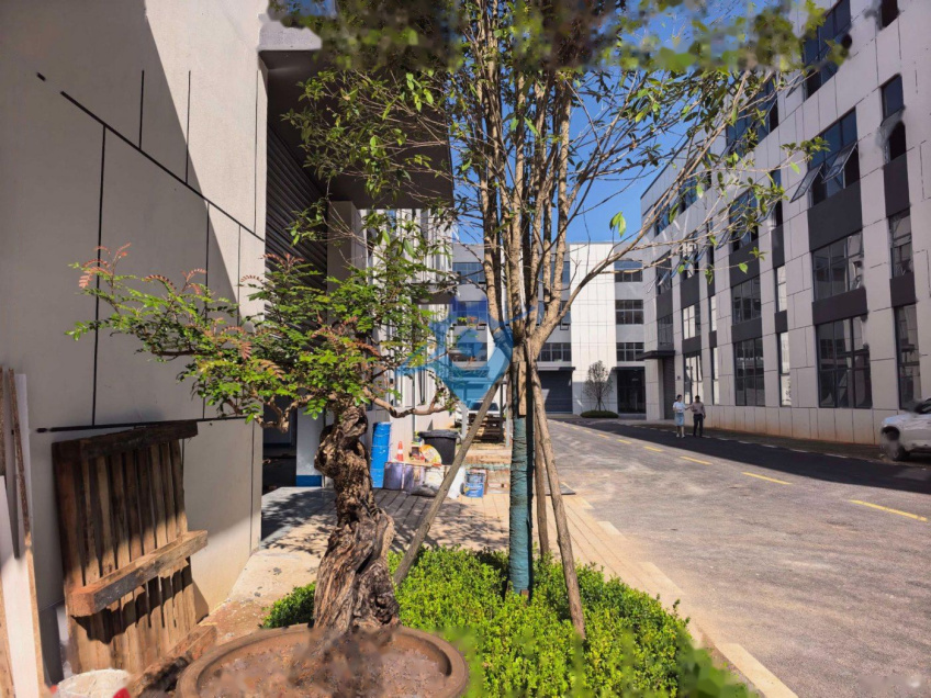昆明呈贡产业园 独栋厂房 50年产权红本在手 低价出售