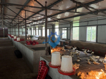拖卓养殖基地110亩可养殖鸡鹅牛猪